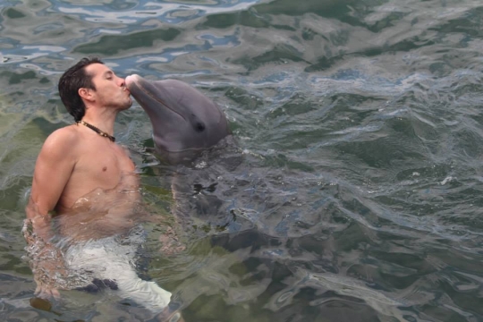 Baño con delfines 