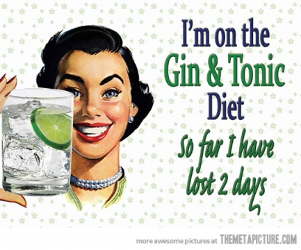 funny-girl-drink-gin-tonic-diet