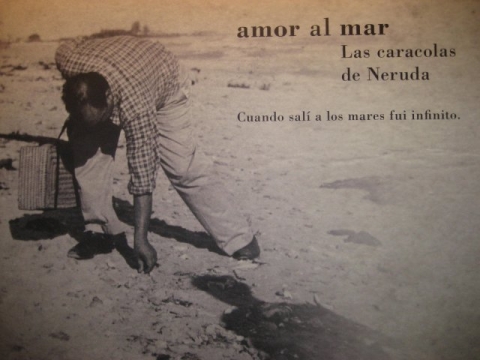 Neruda recogiendo caracolas en Varadero 